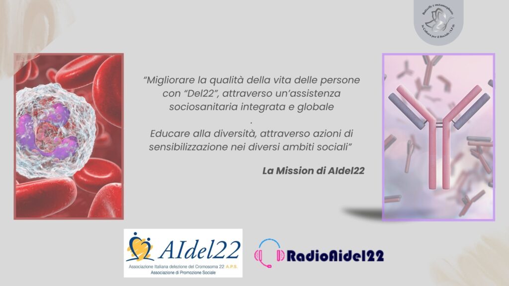 Aldel 22 - la mission